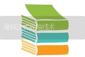 虎尾兰栽培要点-花卉苗木养护管理