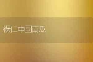 裸仁中国南瓜