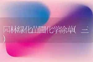 三个白菜新品种