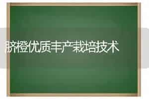 脐橙优质丰产栽培技术