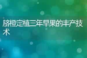脐橙定植三年早果的丰产技术