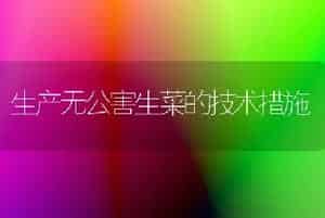 生产无公害生菜的技术措施