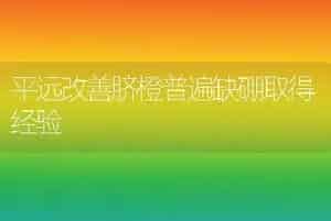 平远改善脐橙普遍缺硼取得经验