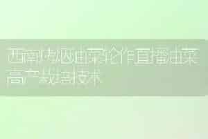 重庆9至10月份脐橙管理技术要点
