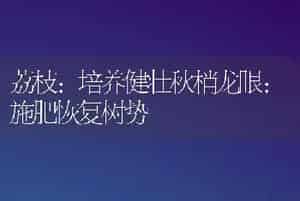 玉米芯袋栽黑木耳高产新技术