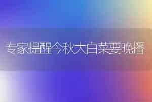 专家提醒今秋大白菜要晚播