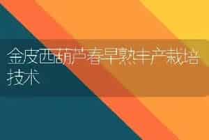 盆栽荷花为什么不现蕾不开花