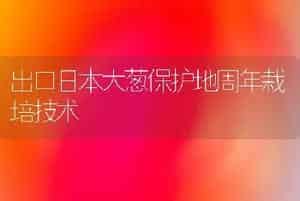 出口日本大葱保护地周年栽培技术