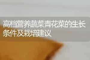 高档营养蔬菜青花菜的生长条件及栽培建议