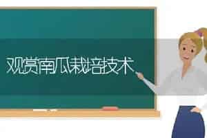麦田套种袋料黑木耳技术