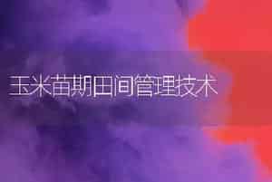 中国兰花有哪些主要种类