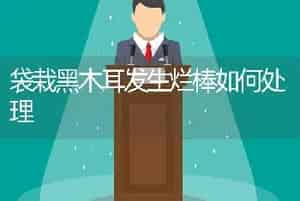 袋栽黑木耳发生烂棒如何处理