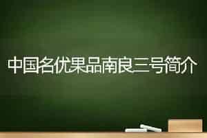 中国名优果品南良三号简介