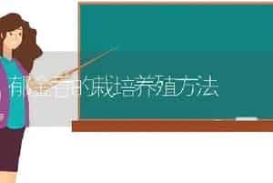 郁金香的栽培养殖方法