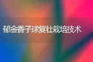 郁金香子球复壮栽培技术