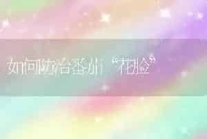 如何防治番茄“花脸”