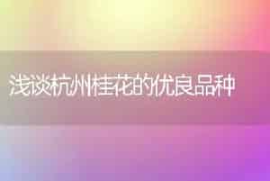 浅谈杭州桂花的优良品种