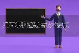 纽荷尔脐橙栽培技术要点