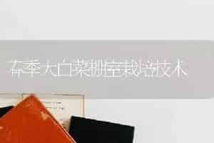 春季大白菜棚室栽培技术