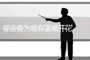 郁金香为啥有蕾难开花