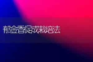 郁金香促成栽培法