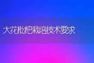 中国兰花的水培技术