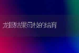 荷花的栽培与管理技术要点