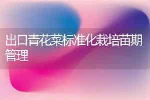 出口青花菜标准化栽培苗期管理