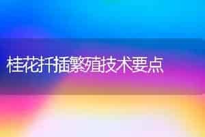 桂花扦插繁殖技术要点