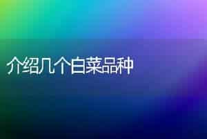 介绍几个白菜品种