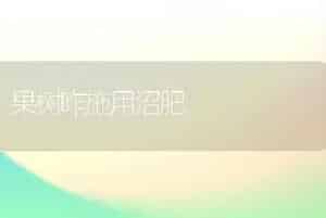 冬季温室生菜栽培管理6步骤