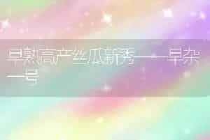 怎样科学盆栽玫瑰