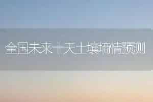 抗根结线虫番茄品种：金棚M6088