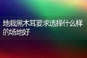 地栽黑木耳要求选择什么样的场地好