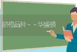 脐橙品种－－华盛顿