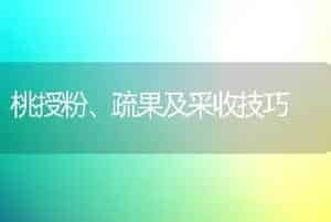 桂花的栽培技巧