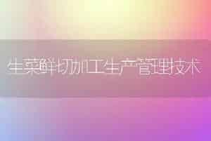 生菜鲜切加工生产管理技术