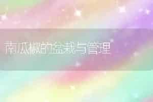 青花菜夏播的栽培技术