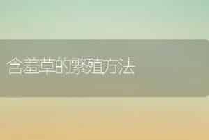 含羞草的繁殖方法