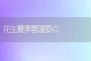 怎样进行春季青花菜早熟栽培？