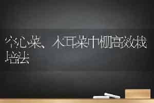 空心菜、木耳菜中棚高效栽培法