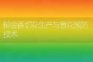 郁金香切花生产与盲花预防技术