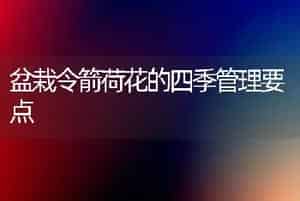盆栽令箭荷花的四季管理要点