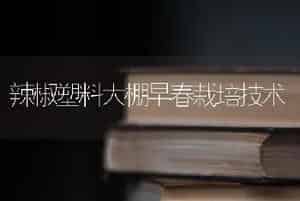 热带兰花和中国兰花有那些不同?常见的有哪几种?