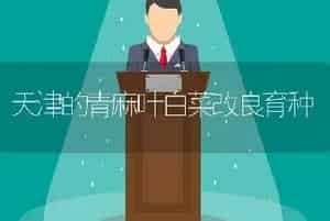 天津的青麻叶白菜改良育种