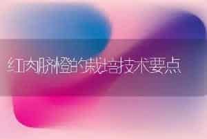 红肉脐橙的栽培技术要点