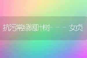 抗污常绿阔叶树---女贞