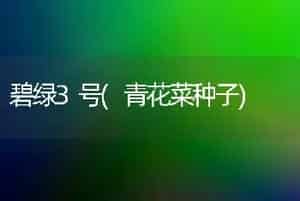 碧绿3号(青花菜种子)