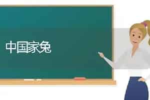 中国家兔