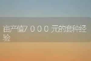 “金叶女贞”的扦插技术-花木栽培技术